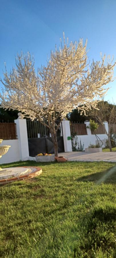 La Espiga Villa Valladolid Exterior foto